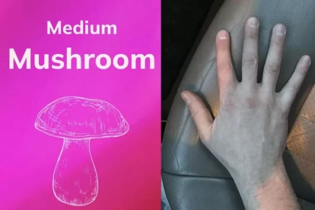 👋 **Hands Up! New App ‘SizeHim’ claims to predict penis size and sexual compatibility from your palms** 🖐️