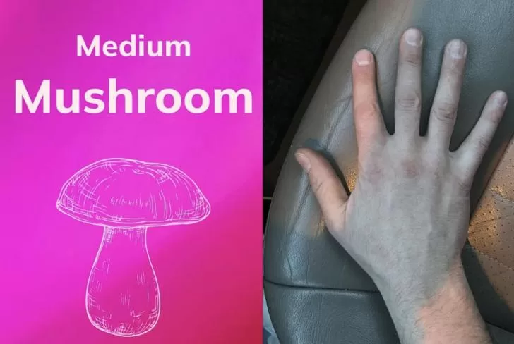 Dating hands up new app sizehim claims to predict penis size and sexual compatibility from your palms 2024 07 21 12 09 23